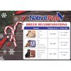 Native Pup Christmas Dog Collar (Medium, Santa & Reindeer)