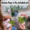 Hapinest DIY Potted Felt Succulents Craft Kit for Adults Women Teens, Arts & Crafts for Kids Fun Activities Project Ideas Hobbies for Women at Home, DIY Crafts for Adults Girls Ages 6-12 Years & Up