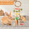 Jorewood Rabbit Chew Toys Bunny Cage Hanging Toy and Treats Rattan Ring with Snacks for Rodent Pets Teeth Healthy