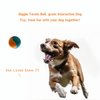 [CiaoPawS] 3 PCS Dog Tennis Balls Squeaky Dog Balls Dog Toys : Fetch Fun for Medium Size, 3 Balls Pack (2.5Inch) (M 3 PCS)
