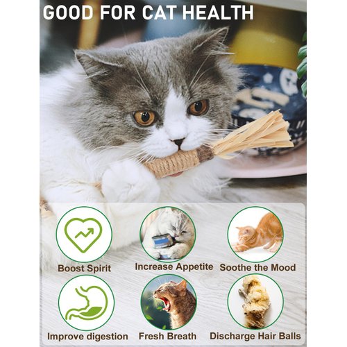 CAPHONT Silvervine Chew Sticks for Cats, 12 Pcs Catnip Toy Sticks for Indoor Cat Dental Chews Teeth Cleaning for Cat, Kitty, Kitten Calm Cat Anxiety and Stress Interactive Feather Toys