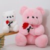 Wgxzyq 12 inch Teddy Bear Stuffed Animal with Rose, Soft Cuddly Stuffed Plush Bear, Gifts for Kids Baby Toddlers on Baby Shower, Valentine's Day (Pink)