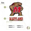 Desert Cactus University of Maryland Stickers Terrapins UMD Terps Vinyl Decal Laptop Water Bottle Car Scrapbook11.5x9 (4 Inch Set V1)