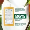 Klorane Nourishing Shampoo with Mango Butter, Moisturize and Hydrate Dry Hair, Paraben, Silicone, SLS Free, 13.5 Fl Oz