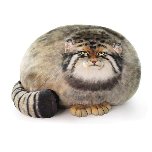 Cat Plush Body Pillow 45cm/18inch, Pallas Cat Stuffed Animal, Steppe Cat Cute Plushies for Girls, Soft Plush Pillow, Kitten Plush Throw Pillow Doll Big Plush Toy Decoration Doll Gift for Kids Boys
