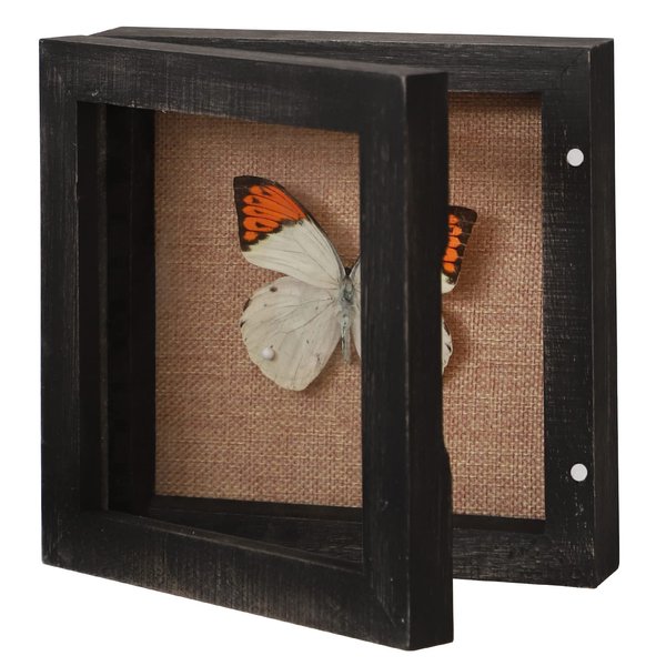 6x6 Square Shadow Box, Display Size 5x5 Shadow Box Frame with Glass, Small Shadow Box Display Case with Hinge and Magnetic Door for Shells Taxidermy Keepsake Photos Tickets Coins-Weathered Black