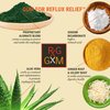 Reflux Gourmet Tropical Soothe Gum Alginate Therapy Sodium Bicarbonate Gum for Acid Reflux, Oral, Cognitive, and Digestive Support, Natural with Ginger, Celeriac, Aloe, Sugar Free, Gluten Free, Vegan