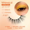 eLASHtic™ Lashes | Lashes Pack | Full Band | Strip Lashes | Natural Wispy Lashes | Fake Eyelashes | Elastic Lash Band | Flared & Natural Volume (Whimsical Multi-Pack)