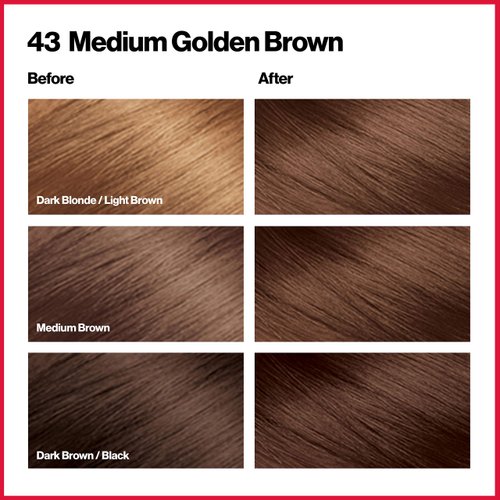 Revlon Permanent Hair Color, Permanent Hair Dye, Colorsilk with 100% Gray Coverage, Ammonia-Free, Keratin and Amino Acids, 43 Medium Golden Brown, 4.4 Oz (Pack of 3)