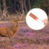 Xuhal 30 Pcs Deer Urine Wick Hunting Scent Buck Attractant Scent Absorbing Wick Rut Scent Buck Lure Doe Pee Wick for Hunting Whitetail Deer Scent Drags