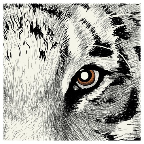 Creative Converting 24 Count Roar Eye Premium Patterned Beverage Napkins, Multicolor