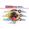 KONG Small Dog Puppy Teething Toy - Colors May Vary (2 Pack)