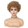 Quantum Love Short Curly Human Hair Wigs for Black Women 6 Inches Afro Kinky Curly Brazilian Virgin Human Hair Short Pixie Cut Brown Wigs
