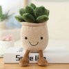 WUZHOU Tulip Plush Toy, 13.7" Flower Pot Stuffed Plushie Pillow Decoration, Soft Fluffy Toy Succulent Plants Friend Throw Pillow, Multicolor (Khaki-Succulent)