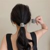 Myhiju Metal Hair Clips, 2 Pcs High Ponytail Clips for Women, Non-Slip Small Claw Clips for Thick Hair, Hair Accessories for Long Hair, Black & Silver