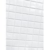 2x2 Glossy Arctic White Ceramic Wall Tile (1 SQFT Sheet)