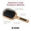 Kent PF19 Beechwood Cushion Paddle Brush - Scalp Massager and Detangler Brush - The Hair Brush for Thick Hair - Scalp Massager Hair Growth Stimulator - Hair Detangler Brush and Curly Hair Brush