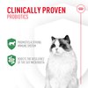 Royal Canin Probiotics for Cats Digestive and Immune Health Powder Supplement for Cats of All Ages, 7 Count