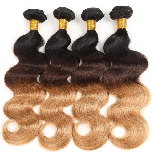 𝗜𝗻𝘀𝗤𝘂𝗲𝗲𝗻 Ombre Human Hair Bundles with Closure 100% Unprocessed Virgin Brazilian Human Hair Body Wave 4 Bundles with 4x4 Lace Closure Free Part (10 10 10 10+10#T1B/4/27)