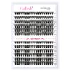 Cluster Lashes D Curl Lash Clusters 280 Pcs Lash Extension Clusters Individual Lashes Soft DIY Eyelash Extensions Mixed Tray Eyelash Clusters Natural Look (40D+50D-0.07D, 8-16mm)