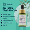 FirmingComplex Face Serum - Collagen Regeneration - Matrixyl 3000, Syn-TC, Hyaluronic Acid, Brown Rice Ferment Filtrate, Edelweiss Extract