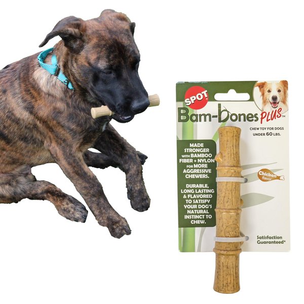SPOT Bam-bones PLUS Bamboo Stick – Bamboo Fiber & Nylon, Durable Long Lasting Dog Chew for Aggressive Chewers – Great Toy for Adult Dogs & Puppies under 60lbs, Non-Splintering, 5.25in, Chicken Flavor