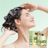 HUANG YI Bubble Plant Hair Dye Natural,New Botanical Bubble Hair Dye 20ml 10Packs/Box.(Natural Black)
