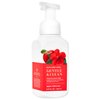 White Barn APPLE HIBISCUS Gentle Foaming Hand Soap 8.75 Fluid Ounce