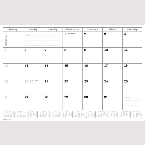 Dacasso Monthly Calendar Refill, 24.5 x 16, White (S2001)