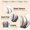 Lash Clusters DIY Lash Extensions, C Curl Individual Lashes Clusters Lashes Wispy Lash Extensions Natural Look Eyelash Clusters Mix 8-16mm(CHIC-0.07C-8-16mm)