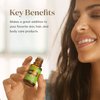 Young Living Stress Away Essential Oil Blend 5ml - Calming and Soothing Aromatherapy with Lime, Cedarwood, Vanilla, and Lavender - Perfect for Relaxation and Stress Relief On-The-Go