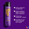 Matrix Color Obsessed Antioxidant Conditioner | Enhances Hair Color & Prevents Fading| For Color Treated Hair | Sulfate-Free | Cruelty Free | Salon Conditioner | Packaging May Vary | 10.1 Fl. Oz.