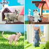 EYSCOTA 12PCS Cat Figurines, Plastic Cat Figures Realistic Kitten Toys, Cat Cake Toppers Christmas Birthday Gift for Kids & Children