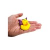 Butterfly Green, Blue, Red & Purple Novelty Rubber Ducks (12 Pack) Quirky & Fun Carnival Game PRIZES. Bath Tub Toys and Jeep Duck Ducking.