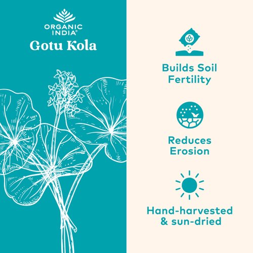 Organic India Gotu Kola Herbal Supplement - Adaptogen for Brain & Nervous System Support, Vegan, Gluten-Free, Kosher, USDA Certified Organic, Non-GMO, Calming, Clarity - 90 Capsules