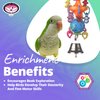 Super Bird Creations SB1083 Binky Bop Bird Toy - Engaging Enrichment Toy for Parrotlets, Parakeets, Cockatiels Toys, Small Plastic Bird Toys with Charms, Ideal for Medium Bird Size, 7.5" x 1.5"