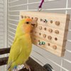 Bird Chewable Keyboard Toy Wooden Parrot Chewing Toy Parrot Foraging Toy Bird Foraging Toy Parrot Biting Toy Bird Chewing Toy Bird Cage Accessories Bird Wooden Block Chewing Toy for Parrot