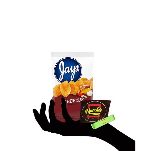 JAY'S BARBEQUE Potato Chips A Chicago Original 10 Pack 1.25oz bags