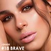 FOCALLURE Ultra Chic Matte Lipstick,Rich Vitamin E Lip Crayon,Lightweight Matte Color without Drying or Fading,Long Lasting Waterproof Lips Makeup,BRAVE