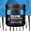 Animal Creatine Chews Tablets - Enhanced Creatine Monohydrate with AstraGin to Improve Absorption, Sea Salt for Added Pumps, Delicious and Convenient Chewable Tablets - Grape