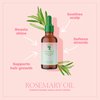 Camille Rose Rosemary Oil Strengthening Hair and Scalp Drops | 1.9 fl oz | Castor Oil, Peppermint & Rosemary Essential Oils | Encourage Hair Growth & Strengthen | Natural Hair Oil Dry Scalp