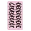 DSLONG 10 Pairs Manga Lashes Wet Look Lashes Effect Cat Eye Lashes Extension Spiky Mink Lashes Japanese Cosplay Styles Anime Fake Eyelashes Reusable
