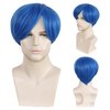 IEBIYO Mens Blue Wig Joy Short Blue Cosplay Wig Boys Blue Anime Wig Heat Resistant Halloween Party Costume Wig (Blue)