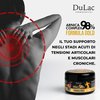 Dulàc - Arnica Gel for Bruising and Swelling, Arnica Montana 98% Maximum Strength + Devil's Claw for Muscle and Joint Massage, Arnica Montana Complex 98% 10.14 Fl Oz, Gold Formula