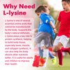 Mchokuu L-Lysine 1000mg Gummies, Chewable Lysine Supplement for Adults & Kids Immune Support, Essential Amino Acid, Vegetarian, Non-GMO, Sugar-Free, Gluten Free, Strawberry Flavor, 60 Counts