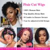 Short Curly Human Hair Wigs Pixie Cut Bob Glueless Wigs Front for Black Women with Baby Hair, 13x1 Lace 180% Density Pre Plucked HD