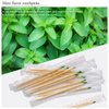 Wood Bamboo Mint Individually Cello Wrapped Toothpicks 2.5 Inch Pack 1000,High Class Food Picks with Flavor,Bamboo Mint Toothpicks for Appetizers,Cocktails,BBQ Picks (Mint Toothpick 1000 PCS)