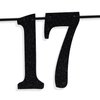 Black Glitter Look at You Turning 17 & Shit Banner, Happy 17th Birthday/Level 17 Unlocked/Cheers to 17 Years, Funny 17th Birthday Party Decorations Supplies