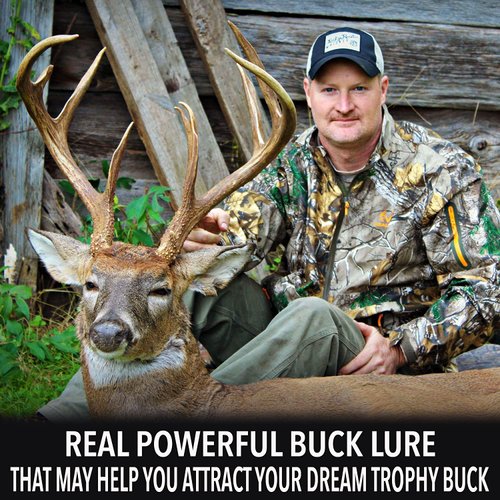 Outdoor Hunting Synthetic Whitetail Deer Urine for Hunting | Whitetail Deer and Buck Scent Attractant