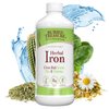 Buried Treasure Herbal Iron - 48 Servings, Liquid Iron and Herbal Supplement, Vitamin C & B Complex Vitamins, Iron-rich Greens, Vegan Iron for Men and Women